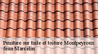 Peinture sur tuile et toiture  montpeyroux-34150 Jean Marcelin