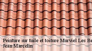 Peinture sur tuile et toiture  murviel-les-beziers-34490 Jean Marcelin