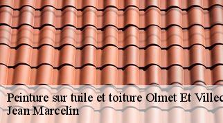 Peinture sur tuile et toiture  olmet-et-villecun-34700 Jean Marcelin