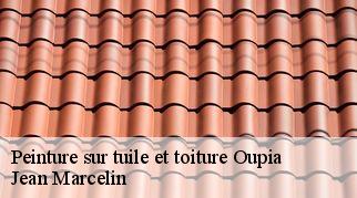 Peinture sur tuile et toiture oupia-34210 Jean Marcelin