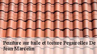 Peinture sur tuile et toiture  pegairolles-de-bueges-34380 Jean Marcelin