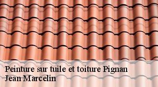 Peinture sur tuile et toiture pignan-34570 Jean Marcelin