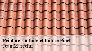 Peinture sur tuile et toiture  pinet-34850 Jean Marcelin