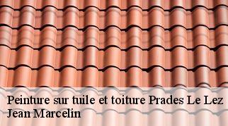 Peinture sur tuile et toiture  prades-le-lez-34730 Jean Marcelin