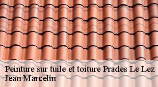 Peinture sur tuile et toiture prades-le-lez-34730 Jean Marcelin