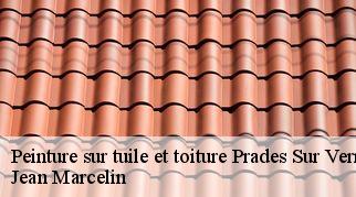 Peinture sur tuile et toiture  prades-sur-vernazobre-34360 Jean Marcelin