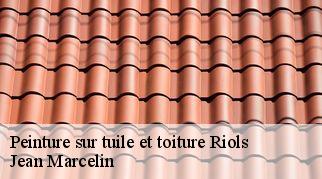 Peinture sur tuile et toiture  riols-34220 Jean Marcelin