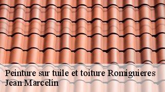Peinture sur tuile et toiture  romiguieres-34650 Jean Marcelin