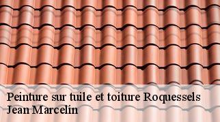 Peinture sur tuile et toiture  roquessels-34320 Jean Marcelin