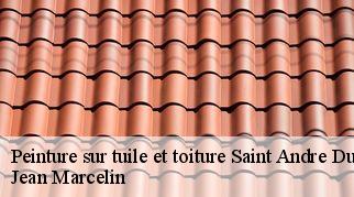 Peinture sur tuile et toiture  saint-andre-du-bueges-34190 Jean Marcelin