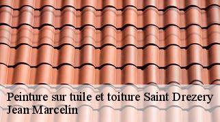 Peinture sur tuile et toiture  saint-drezery-34160 Jean Marcelin