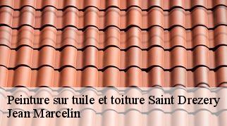 Peinture sur tuile et toiture saint-drezery-34160 Jean Marcelin