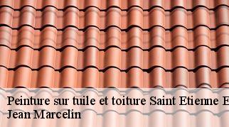 Peinture sur tuile et toiture saint-etienne-estrechoux-34260 Jean Marcelin