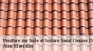 Peinture sur tuile et toiture saint-genies-de-fontedit-34480 Jean Marcelin