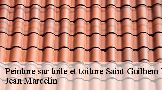 Peinture sur tuile et toiture  saint-guilhem-le-desert-34150 Jean Marcelin