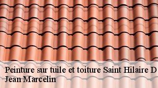 Peinture sur tuile et toiture  saint-hilaire-de-beauvoir-34160 Jean Marcelin