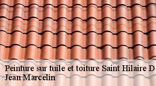 Peinture sur tuile et toiture saint-hilaire-de-beauvoir-34160 Jean Marcelin