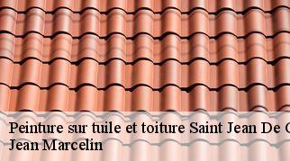 Peinture sur tuile et toiture  saint-jean-de-cornies-34160 Jean Marcelin