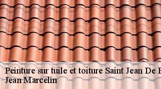 Peinture sur tuile et toiture saint-jean-de-fos-34150 Jean Marcelin