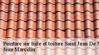 Peinture sur tuile et toiture saint-jean-de-minervois-34360 Jean Marcelin