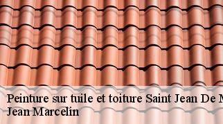 Peinture sur tuile et toiture  saint-jean-de-minervois-34360 Jean Marcelin