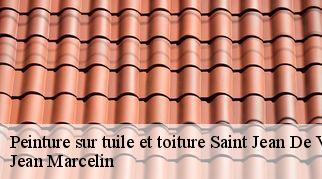 Peinture sur tuile et toiture saint-jean-de-vedas-34430 Jean Marcelin