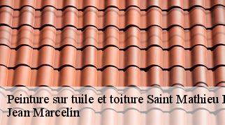 Peinture sur tuile et toiture  saint-mathieu-de-treviers-34270 Jean Marcelin