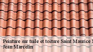 Peinture sur tuile et toiture  saint-maurice-navacelles-34520 Jean Marcelin