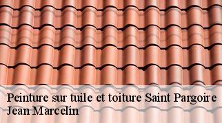 Peinture sur tuile et toiture  saint-pargoire-34230 Jean Marcelin