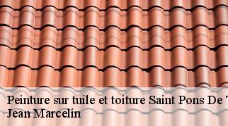Peinture sur tuile et toiture  saint-pons-de-thomieres-34220 Jean Marcelin