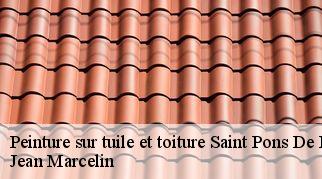 Peinture sur tuile et toiture saint-pons-de-mauchiens-34230 Jean Marcelin