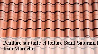 Peinture sur tuile et toiture  saint-saturnin-de-lucian-34725 Jean Marcelin