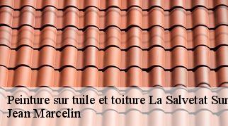 Peinture sur tuile et toiture la-salvetat-sur-agout-34330 Jean Marcelin