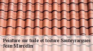 Peinture sur tuile et toiture  sauteyrargues-34270 Jean Marcelin