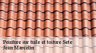 Peinture sur tuile et toiture  sete-34200 Jean Marcelin