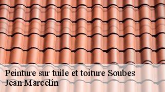 Peinture sur tuile et toiture soubes-34700 Jean Marcelin