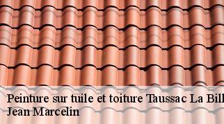 Peinture sur tuile et toiture  taussac-la-billiere-34600 Jean Marcelin
