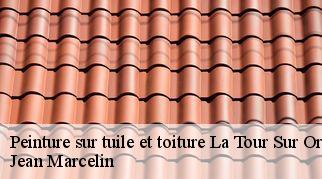Peinture sur tuile et toiture  la-tour-sur-orb-34260 Jean Marcelin