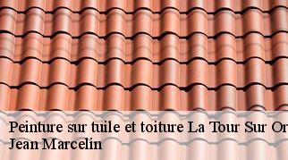 Peinture sur tuile et toiture la-tour-sur-orb-34260 Jean Marcelin