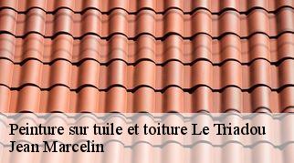 Peinture sur tuile et toiture le-triadou-34270 Jean Marcelin