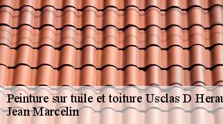 Peinture sur tuile et toiture  usclas-d-herault-34230 Jean Marcelin