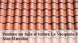 Peinture sur tuile et toiture  la-vacquerie-et-saint-martin-34520 Jean Marcelin