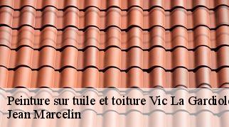 Peinture sur tuile et toiture  vic-la-gardiole-34110 Jean Marcelin