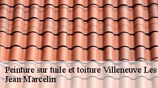 Peinture sur tuile et toiture  villeneuve-les-beziers-34420 Jean Marcelin