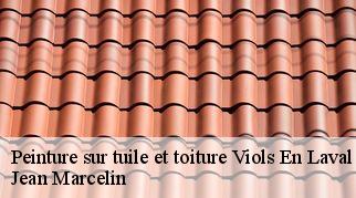 Peinture sur tuile et toiture viols-en-laval-34380 Jean Marcelin