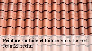 Peinture sur tuile et toiture viols-le-fort-34380 Jean Marcelin