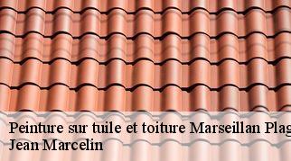 Peinture sur tuile et toiture  marseillan-plage-34340 Jean Marcelin